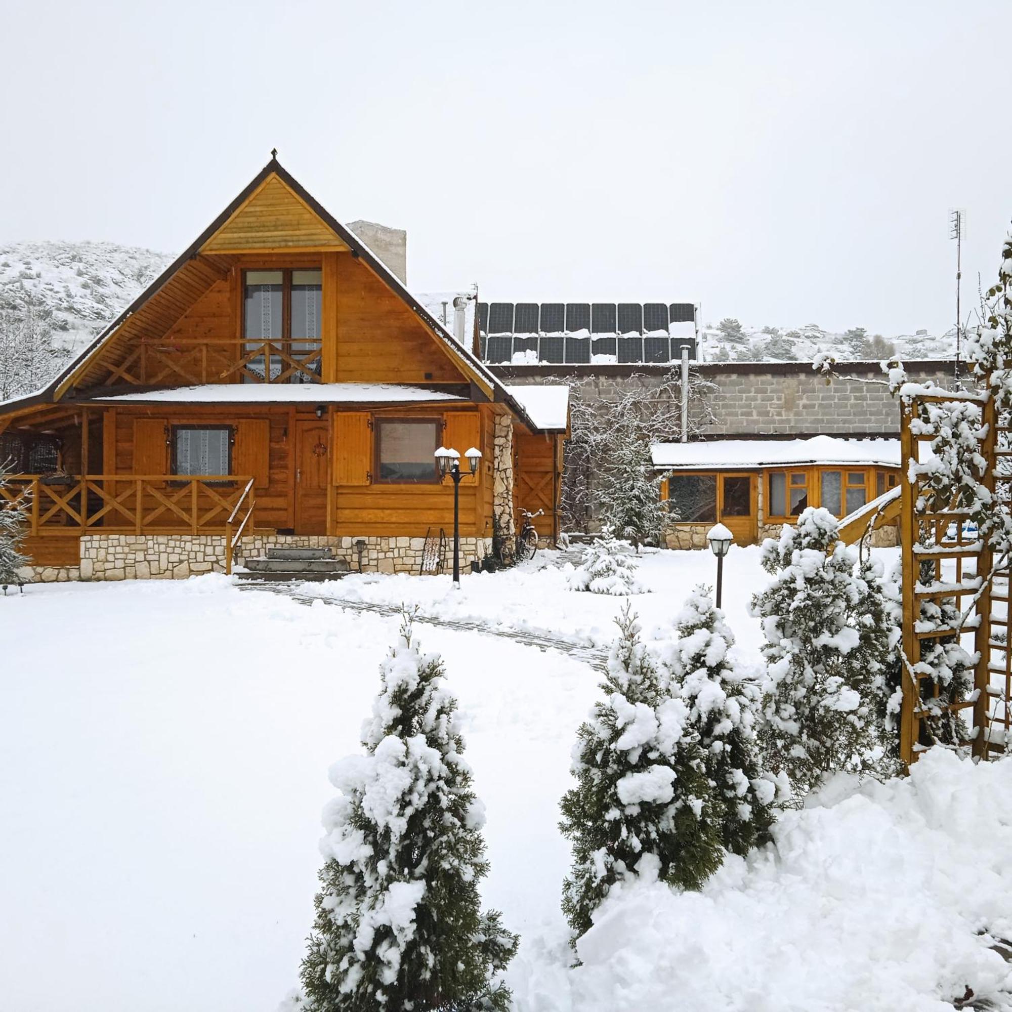 Homestay Kamex Dom 12-osobowy